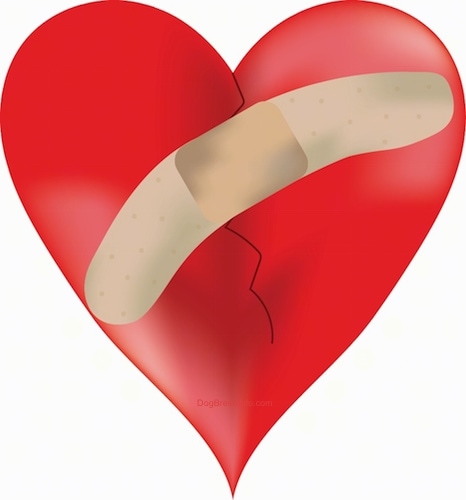 A red broken heart with a band aid over it covering up the crack down the center.