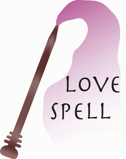 A brown wand with pink coming out of the end with the words Love Spell overlayed inside the pink.