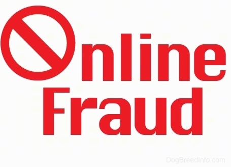 A drawn sign with red letters that says Online Fraud. The O in the word online has a line through it.