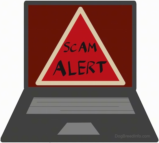 A drawn image of a computer with the words - SCAM ALERT - on the monitor part. The alert is inred and is in a triangle.