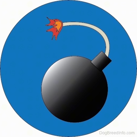 A drawn blue circle with a lit round black bomb inside of it.