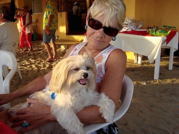 A lady with short blonde hair and dark sunglasses sitting outside on a white plastic chair with a fluffy, soft-looking little white dog on her lap.