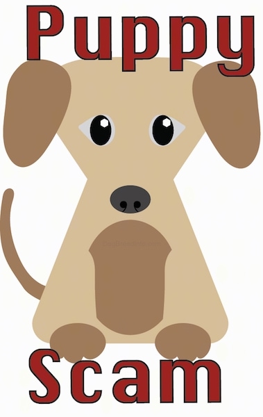 A drawn image of a tan and brown puppy with the words Puppy Scam written in red letters.