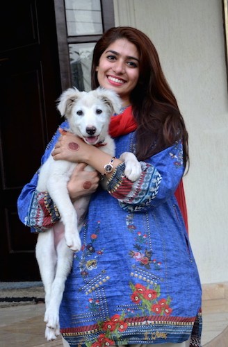 A smiling woman in a blue and white shirt holding a white happy looking large breed puppy in her arms. The pup has long legs, dark eyes, a pink tongue, a black and pink nose and fuzzy ears that fold down to the sides.