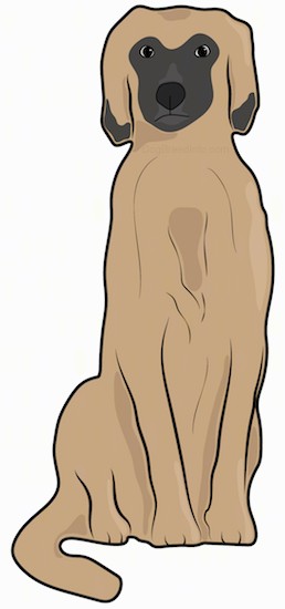 A drawing of a brown and tan long coated dog with a black snout and black on the tips of her long hanging ears sitting down.