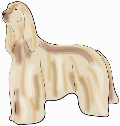 Side view of a drawing of a tall tan dog with long soft ears and thick long fur, a black nose and dark eyes standing.