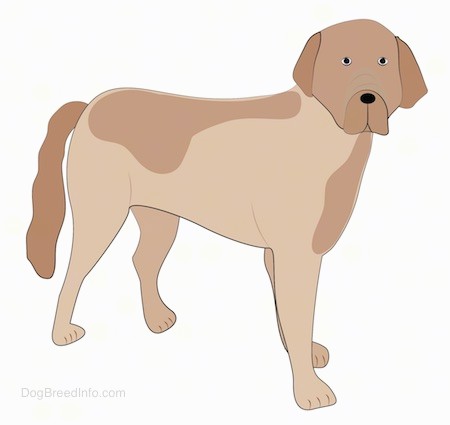A drawing of a large tan and brown spaniel looking dog that is larger and looking like it is mixed with a mastiff. Its ears hang down to the sides, its nose is black, eyes are dark and it has darker tan patches on its tan body.