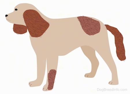 A drawing of a tan and brown spaniel looking dog with a long tail, a pointy snout, long brown ears that hang down to the sides brown patches on it, dark eyes and a black nose.
