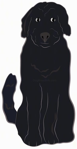 A drawing of a large breed thick coated black dog with a long tail, black nose and black eyes sitting down.