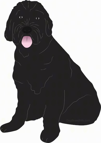 A drawing of a large black fluffy, thick coated dog sitting down with its pink tongue hanging out. The dog has dark eyes and a black nose with long hair on his muzzle