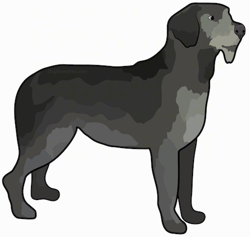 A drawing of the side view of a large breed dog with various shades of gray and black with ears that hang down to the sides.