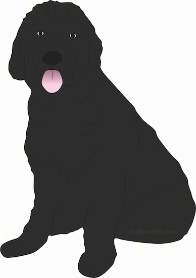 A drawing of a large, thick coated, black dog sitting down with its pink tongue showing.