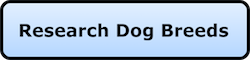 A blue nav button that say Research Dog Breeds