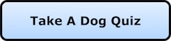 A blue nav button that say Take a Dog Quiz