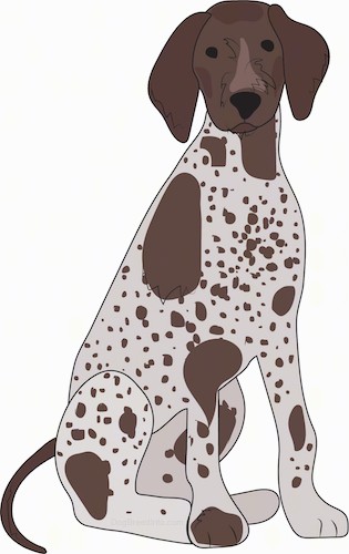A drawing of a tan with brown tick markings, a long brown tail, long brown ears that hang down to the sides, a black nose and dark eyes sitting down.