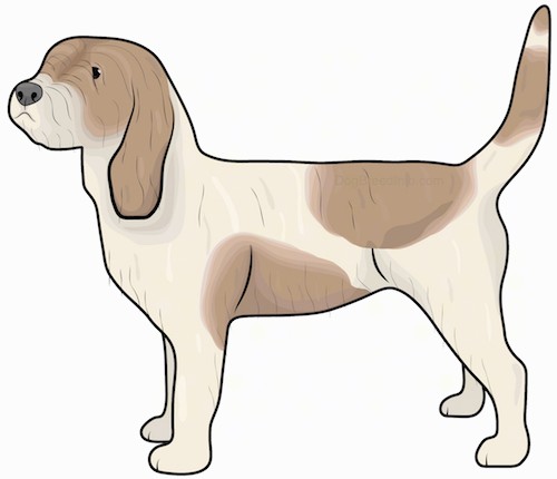 Side view drawing of a shaggy tan and brown patched dog with a long tail, a boxy snout and long ears that hang down to the sides standing up.