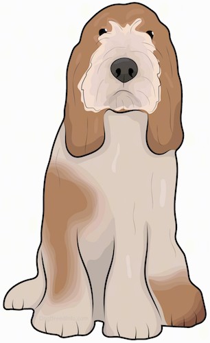 Front view drawing of a brown and tan long haired, thick coated dog with small black eyes and a big black nose sitting down.