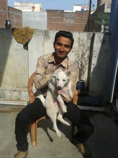 A man in a tan and yellow flannel shirt sitting outside on a concrete patio sitting in a wooden chair holding a small fluffy white dog with perk ears, dark eyes, a brown nose with its tongue hanging out.
