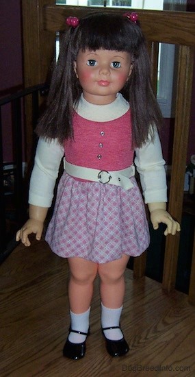 Front view of a real looking little girl doll with long dark brown hair with bangs with pink ball hair clip bands on each side of her head, blue eyes, pink cheeks and pink lips. She is wearing a white and pink dress with a white belt, white socks and shiny black shoes. She is standing on a wooden floor in front of a wooden railing.