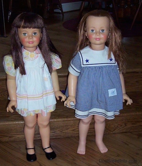 To large real looking little girl dolls standing side by side on a wooden step. The doll on the left has long shiny brown hair, pink cheeks, light colored eyes, pink lips and is wearing a white dress with yellow and pink flowers on it and black shiny shoes. The doll on the right has light brown hair, rosey pink cheeks and blue eyes and is wearing a blue and white sailor dress.