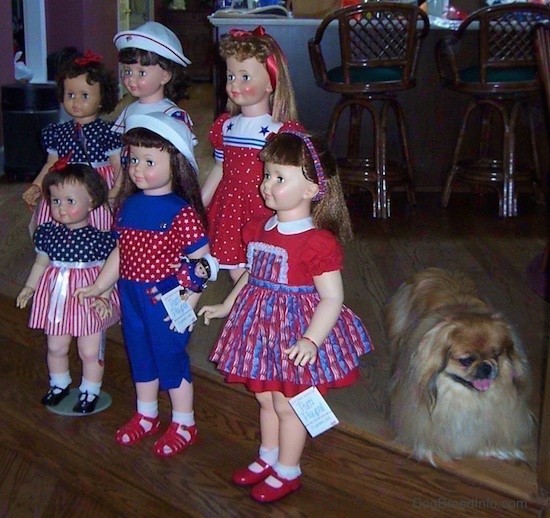 Side view - Six realistic looking large dolls dressed in red, white and blue standing on wooden steps in a kitchen. Three dolls have red shoes, two have black shoes and one has on white shoes. Two of the dolls are wearing sailor hats. There is a Pekingese dog behind them.