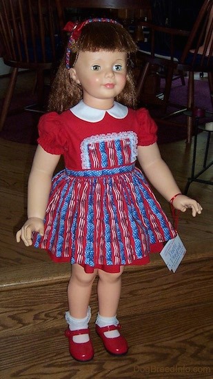 A large doll that looks like a real little girl with long brown hair, blue eyes, small pink lips, rosey cheeks and a small nose wearing a red, white and blue dress, red shoes and white socks. There is a white tag attached by a red ribbon hanging from her arm.