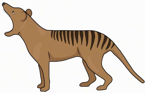 Sideview of a brown dog with sharp teeth, stripes on his back and a long tail standing
