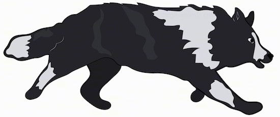 Action shot - a drawing of a running black and gray dog with a thick coat, small perk ears and along thick coated tail.