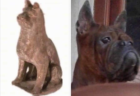 On the left is a carved ancient artifact and on the right is a head shot of a Chongqing dog from today