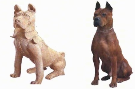 On the left is a carved ancient artifact and on the right is a head shot of a Chuandong dog from today