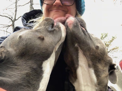 Two gray dogs with big heads kissing the chin of a lady in a teal blue hat