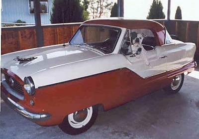 A white with black Bulldog is sitting in the driver seat of a 1950s Nash Metropolitan car that is parked in a car port.