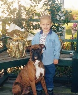 A boy in a blue jean jacket is standing on a porch and he is looking forward. In front of it is a brown with white and black Boxer sitting. The boy and the Boxer are both looking forward.