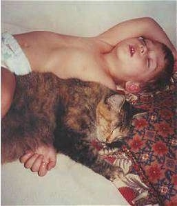 A shirtless child is laying on his back on a bed and there is a cat sleeping overtop of his arm.