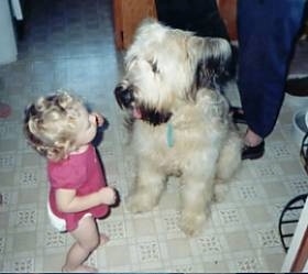 A toddler in a pink shirt is standing on a tiled floor and it is looking at a tan with black Briard dog sitting in front of it. Its mouth is open and tongue is out. The shaggy dog is larger than teh baby.