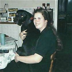A large black Lab Pointer is sitting in the lap of a lady sitting at a kitchen table