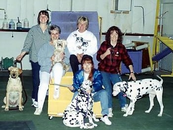 A picture of 4 dogs with there owners
