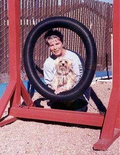 Lindsey the Yorkie is sitting in a black tube on the agility obstacle course in front of a person