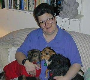 A black with tan Chinese Crested Dog is in a red shirt next to a brown, black and white Chihuahua mix that is next to a black Mini Poodle. They are sitting on a couch in the lap of a lady in a blue shirt
