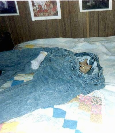 Caraticus a One-eyed Cat is laying inside a pair of blue jean pants on a bed