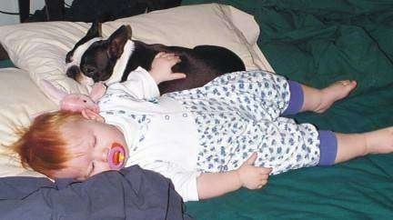 A baby is sleeping on a bed with a pacifier in her mouth and behind her is a black with white Boston Terrier dog laying on a tan pillow.