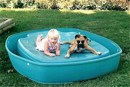 A blonde haired girl and a tan with white Boxer are laying out on an upside down kiddy pool.