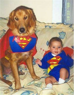 A dog is sitting next to a baby on a tan floral couch. They baby is dressed as Superman and the dog is dressed as Krypto the Superdog.