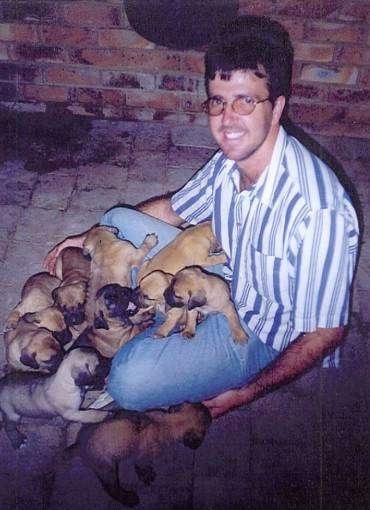 A litter of Boerboel puppies laying in a mans lap