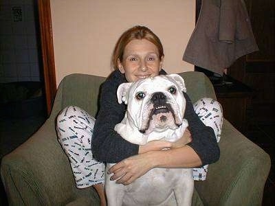 Clarence the white English Bulldog sitting on a green chair with a lady hugging him from behind