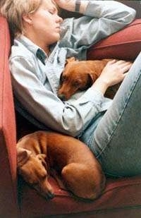 A lady is sleeping on a red couch and on top of her is a red Dachshund dog and next to her is a second sleeping red Dachshund dog.