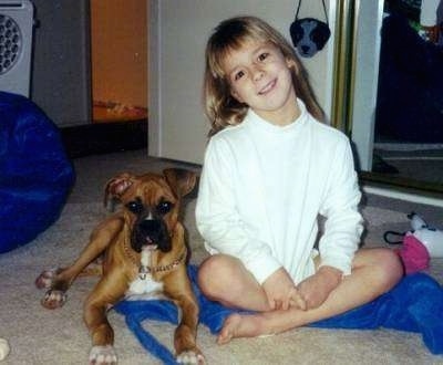 A girl in a white shirt has her head tilted to the left and she is sitting on a tan carpet next to a tan with white Boxer dog.