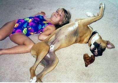 A girl in a bathing suit and a tan with white Boxer are laying on their backs on a carpeted surface. 