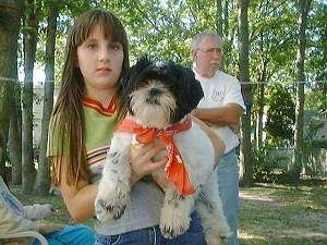 A girl is holding a white with black Shih Tzu in the air. The dog is wearing a red bandana and there is a man in a white shirt standing behind them with tall trees in the distance.