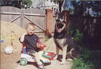 Gektor Jaromir the black and tan East-European Shepherd is sitting next to a child who is sitting on a plastic riding toy. There is a mound of dirt behind the child with toys in it.